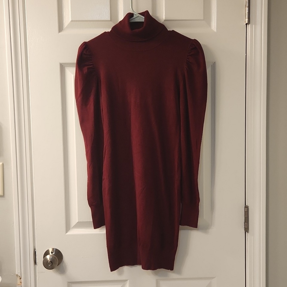 Maroon Turtleneck Sweater Dress